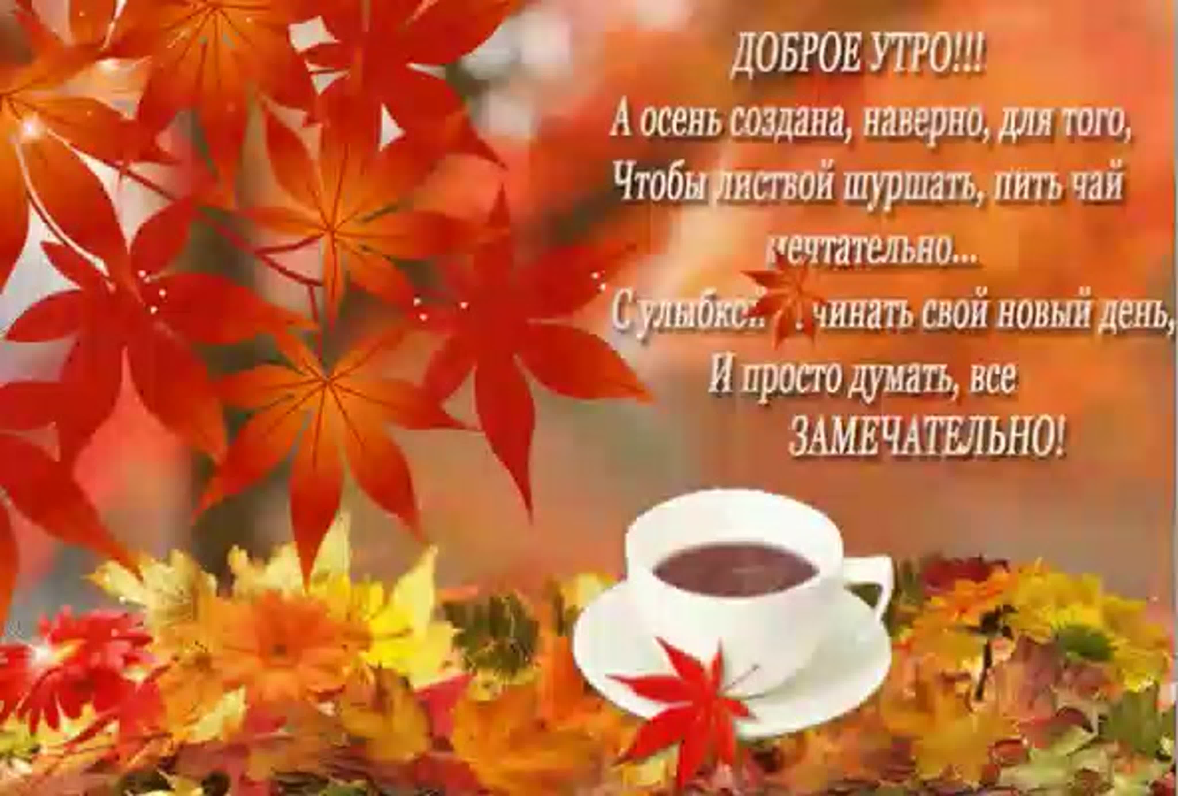 Доброе осеннее утро красивое пожелание. С добрым утром осенним с пожеланиями. Поздравление с добрым осенним утром. Добрые пожелания осенним утром с добрым. С добрым утром осенним октября.