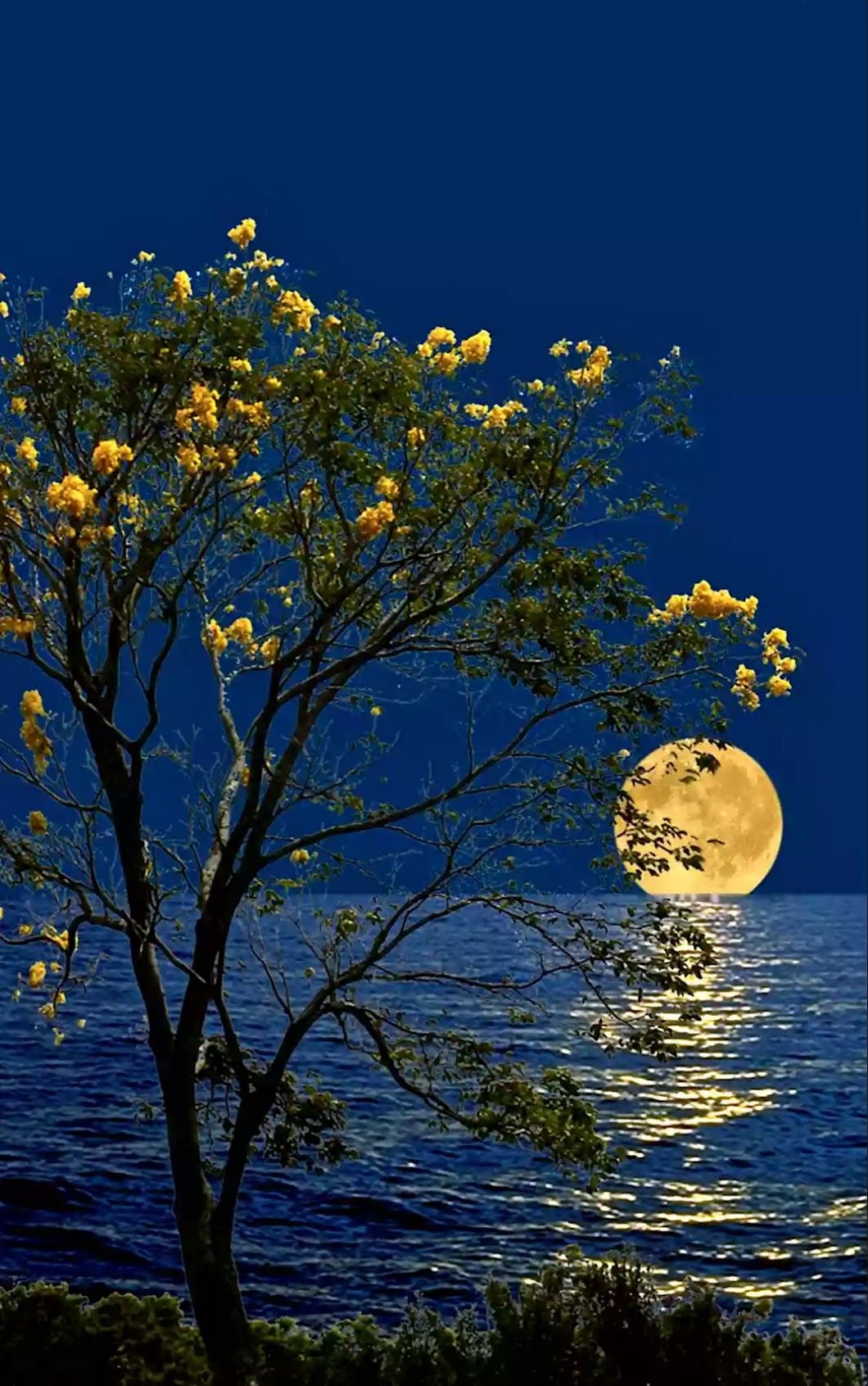 Ночь весны картинки красивые. Весенняя ночь. Доброй летней ночи. Доброй летней ночи природа. Спокойной летней ночи природа.