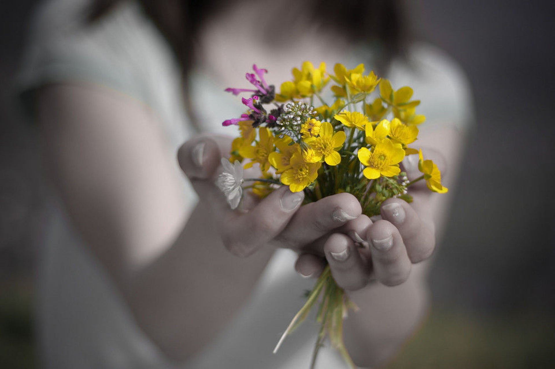 Все на свете жить должны. Цветы в ладонях. Цветы радости. Цветы радости жизни. Счастье в руках.