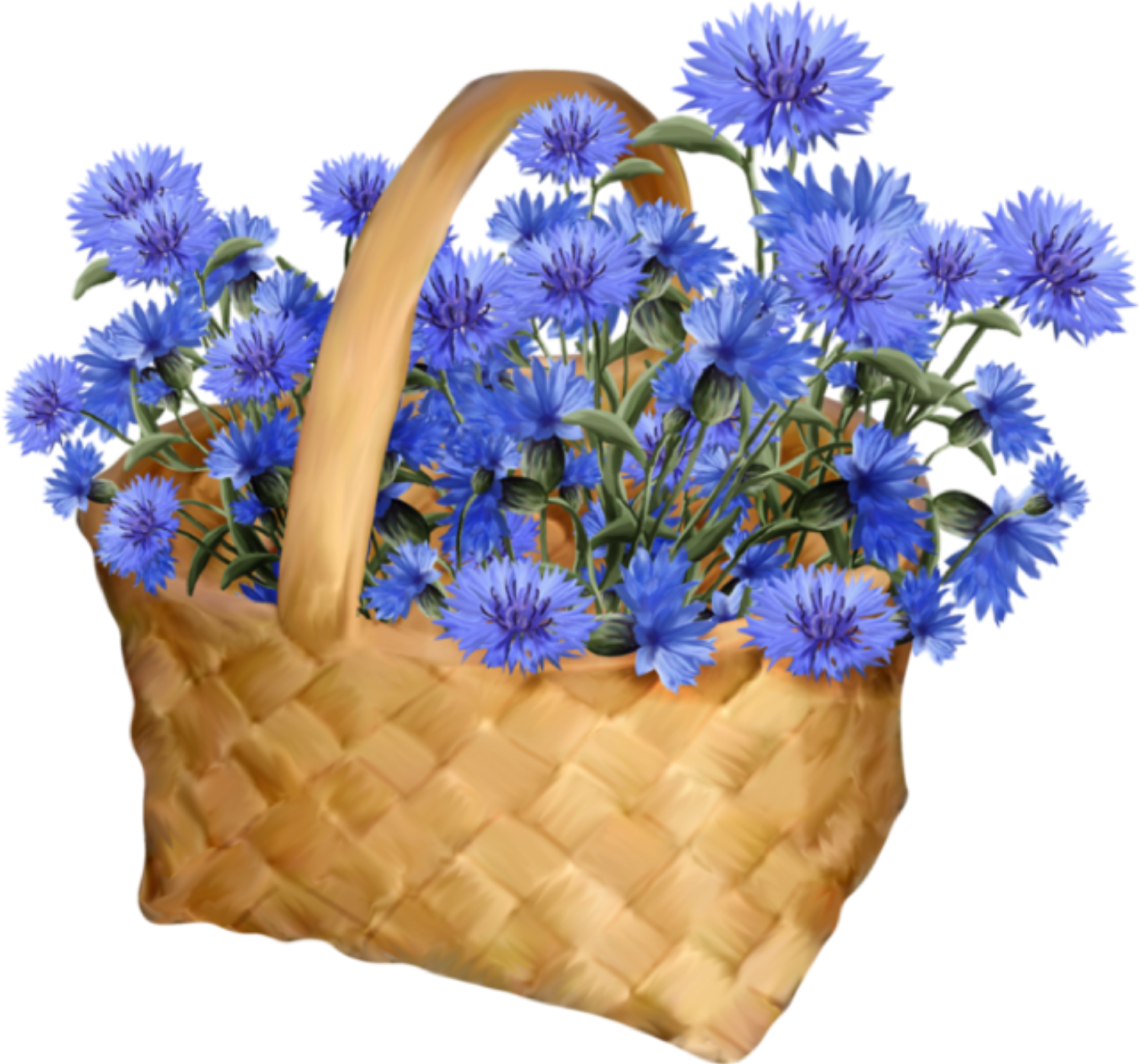 Сегодня тебе пожелают много. Корзинка с васильками. Корзинка с полевыми цветами. Полевые цветы в корзине. Корзина с полевыми цветами.