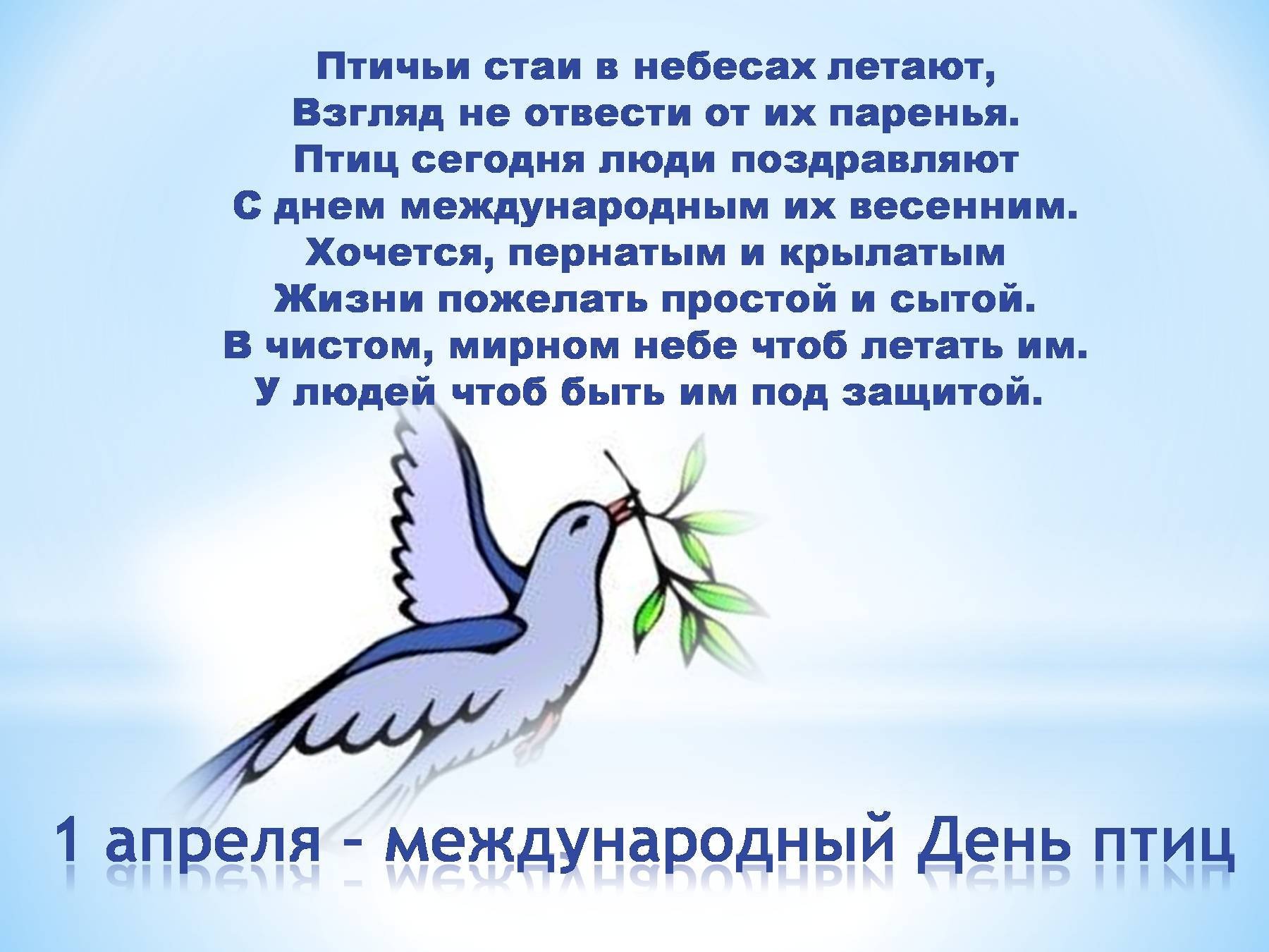 Международный день птиц поздравления