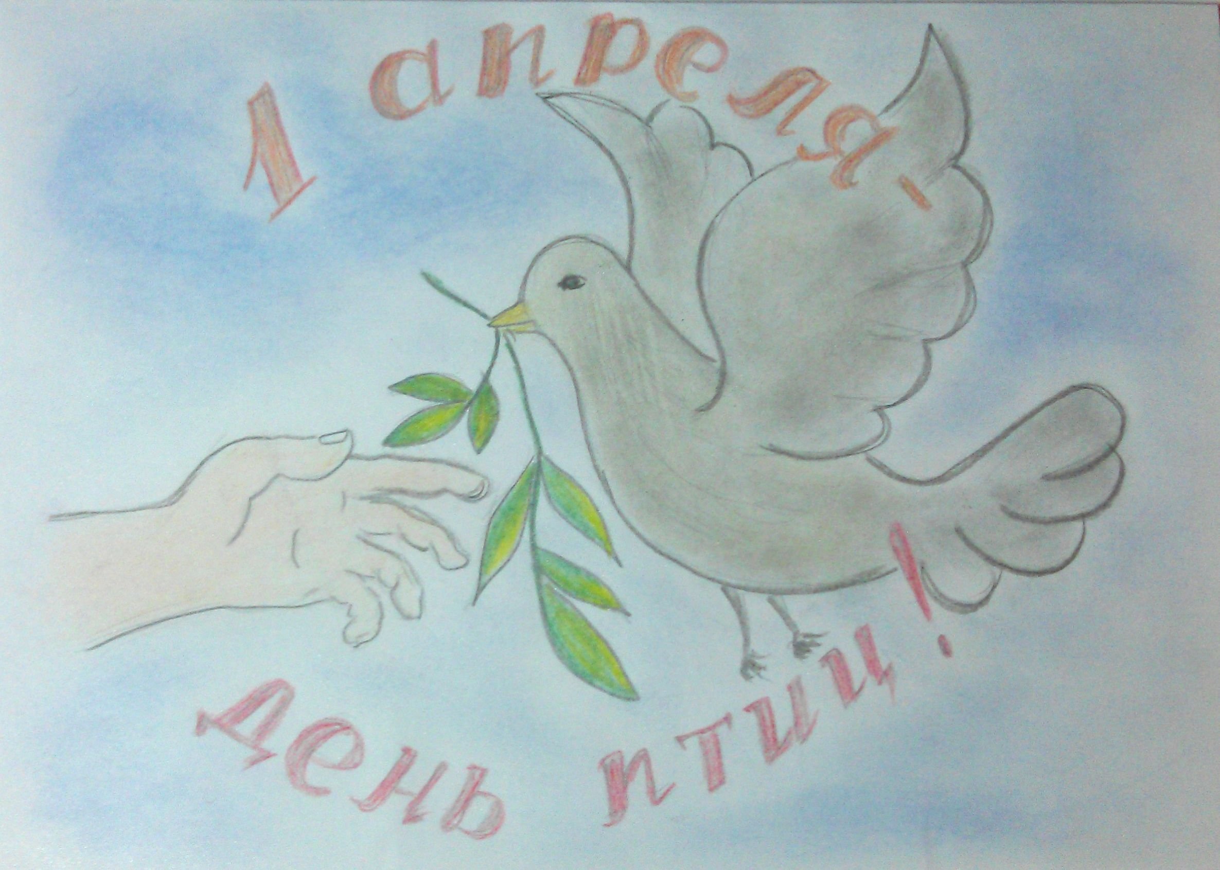 Всероссийская акция день птиц