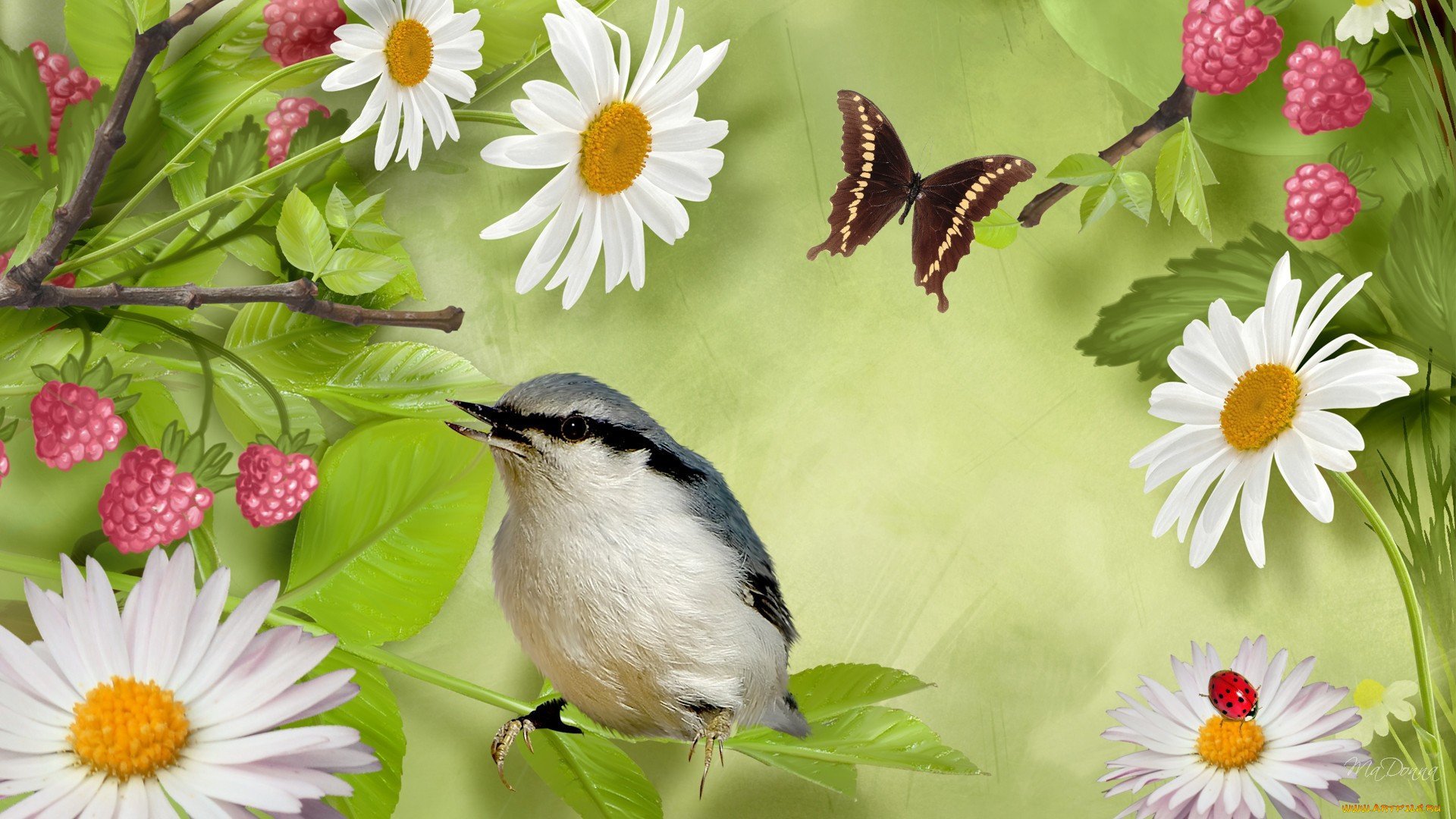 Как поют разные звери птицы и насекомые. Природа птицы. Красивая природа с птичками.