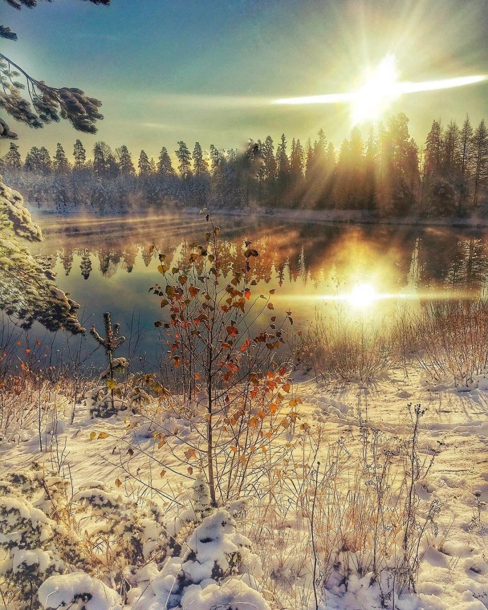 Солнечный зимний день
