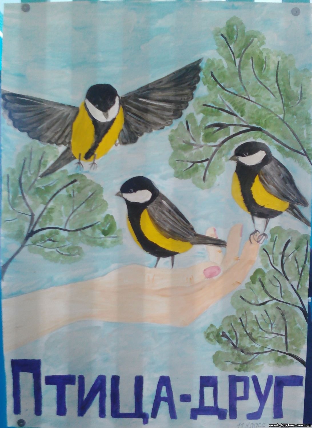 Конкурс рисунков на тему птицы