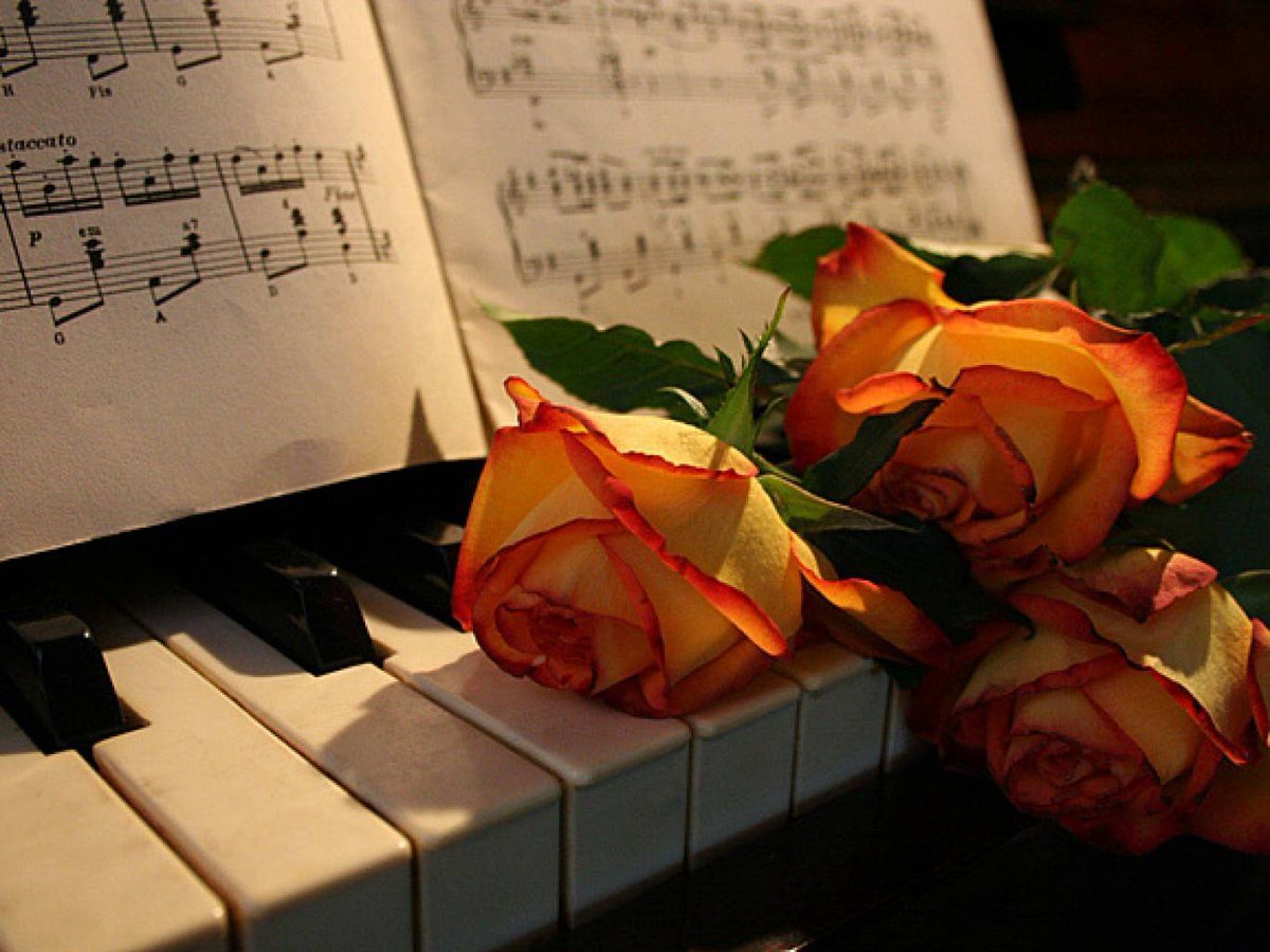 Цветы учителю музыки