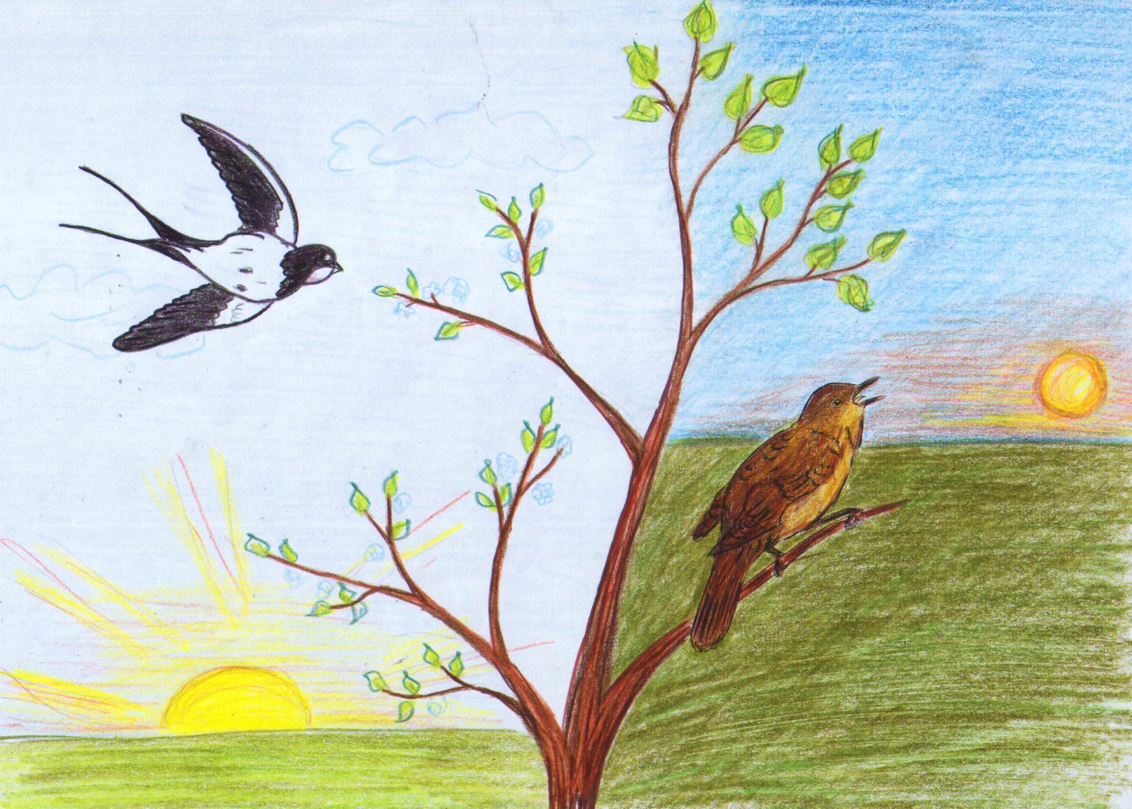 Род произведений р г гамзатова песня соловья. Рисование весенних птиц. Весенние птицы рисунки. Рисование птицы прилетели. Рисование птицы весной.