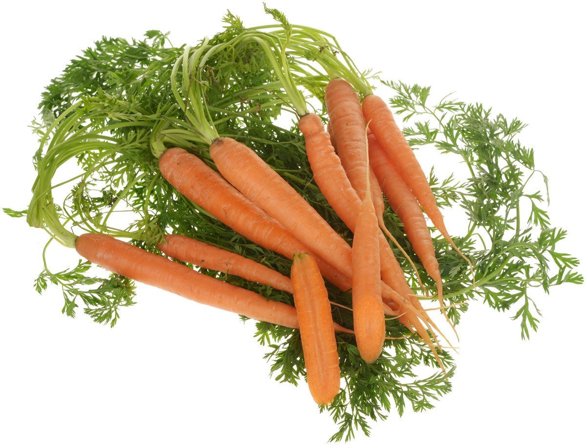 Большое количество моркови. Морковь на белом фоне. Морковка на белом фоне. Морковь картинка. Фото морковки на белом фоне.