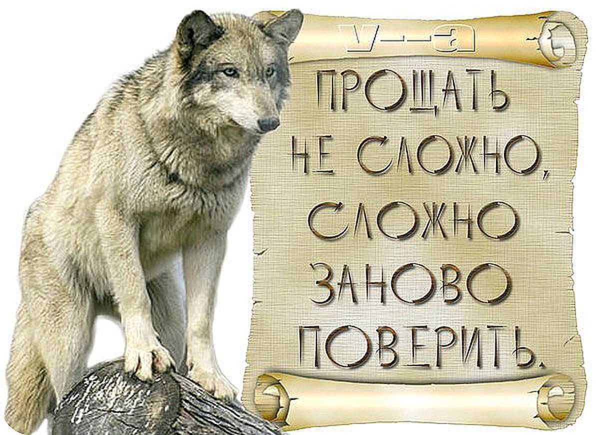 Волк с надписью волк