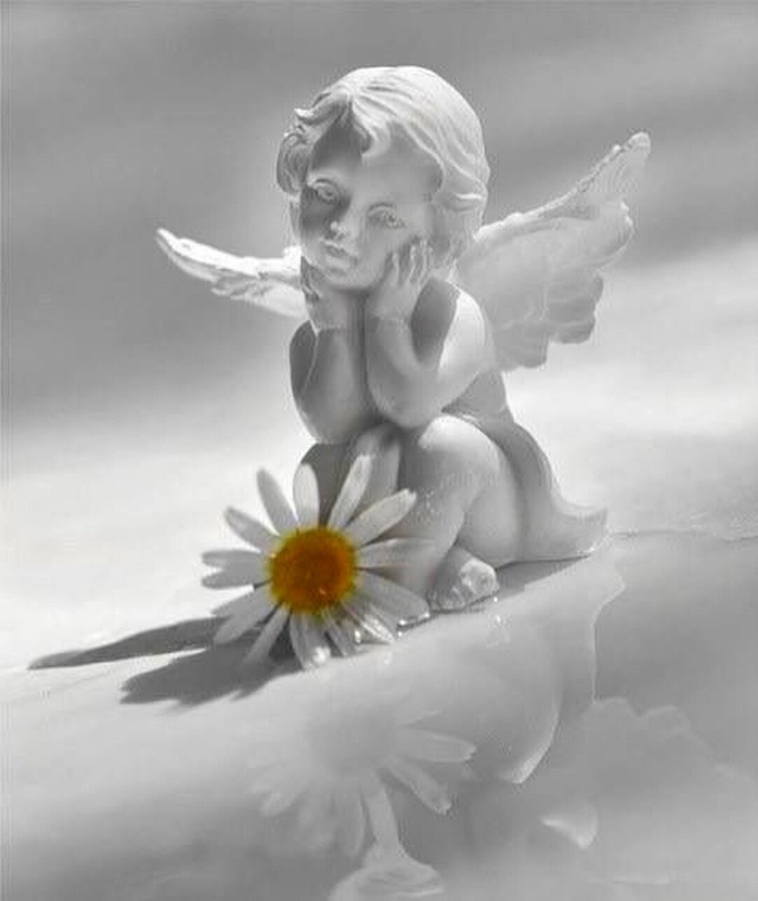 Ангел нежность. Красивый Ангелочек. Небесные ангелы. Ангелочек с ромашкой. Ангел с цветами.