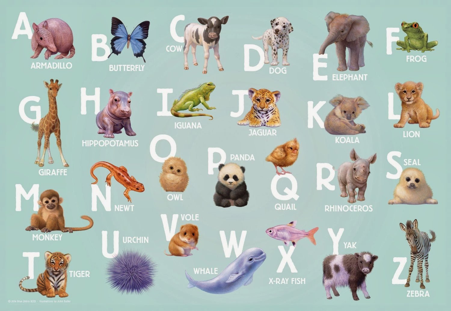 Назови животное на б. Азбука животных animals Alphabet. Английский алфавит с животными. Животное на букву а. Животные по алфавиту для детей.