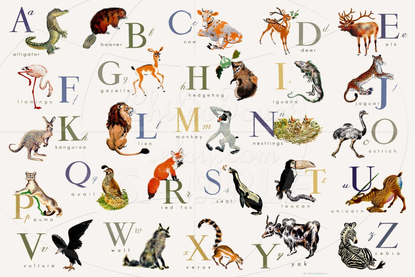 Назови животное на б. Животные по алфавиту. Английский алфавит с животными. Животные на букву а. Азбука с животными в картинках.