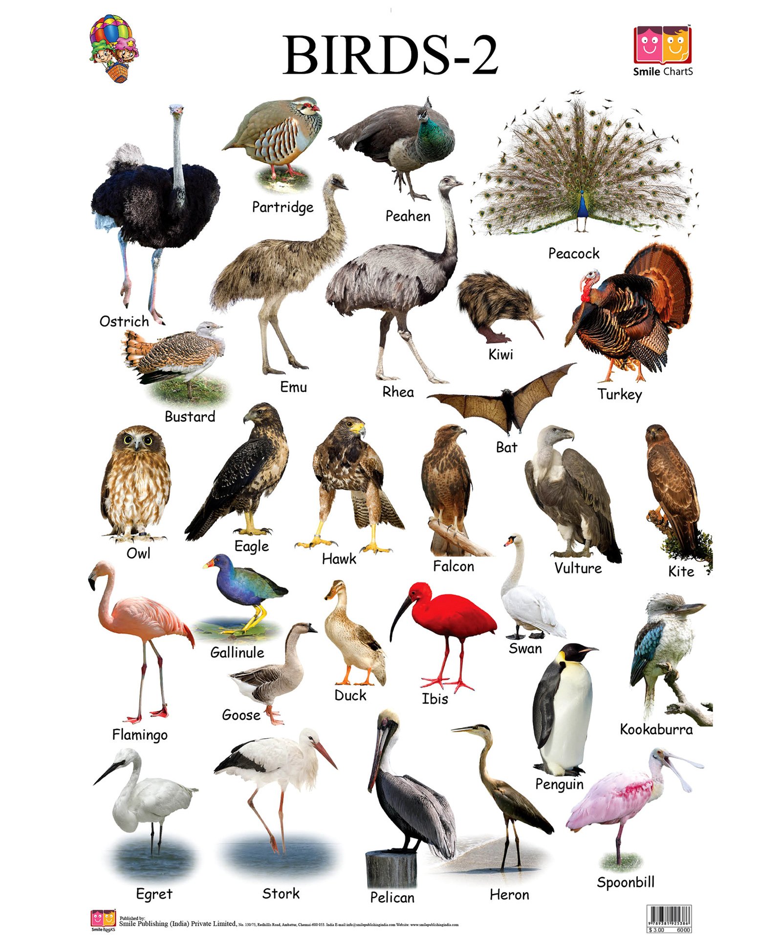 Название птиц и животных