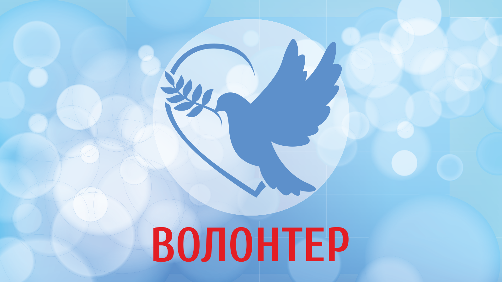 Картинка волонтерство
