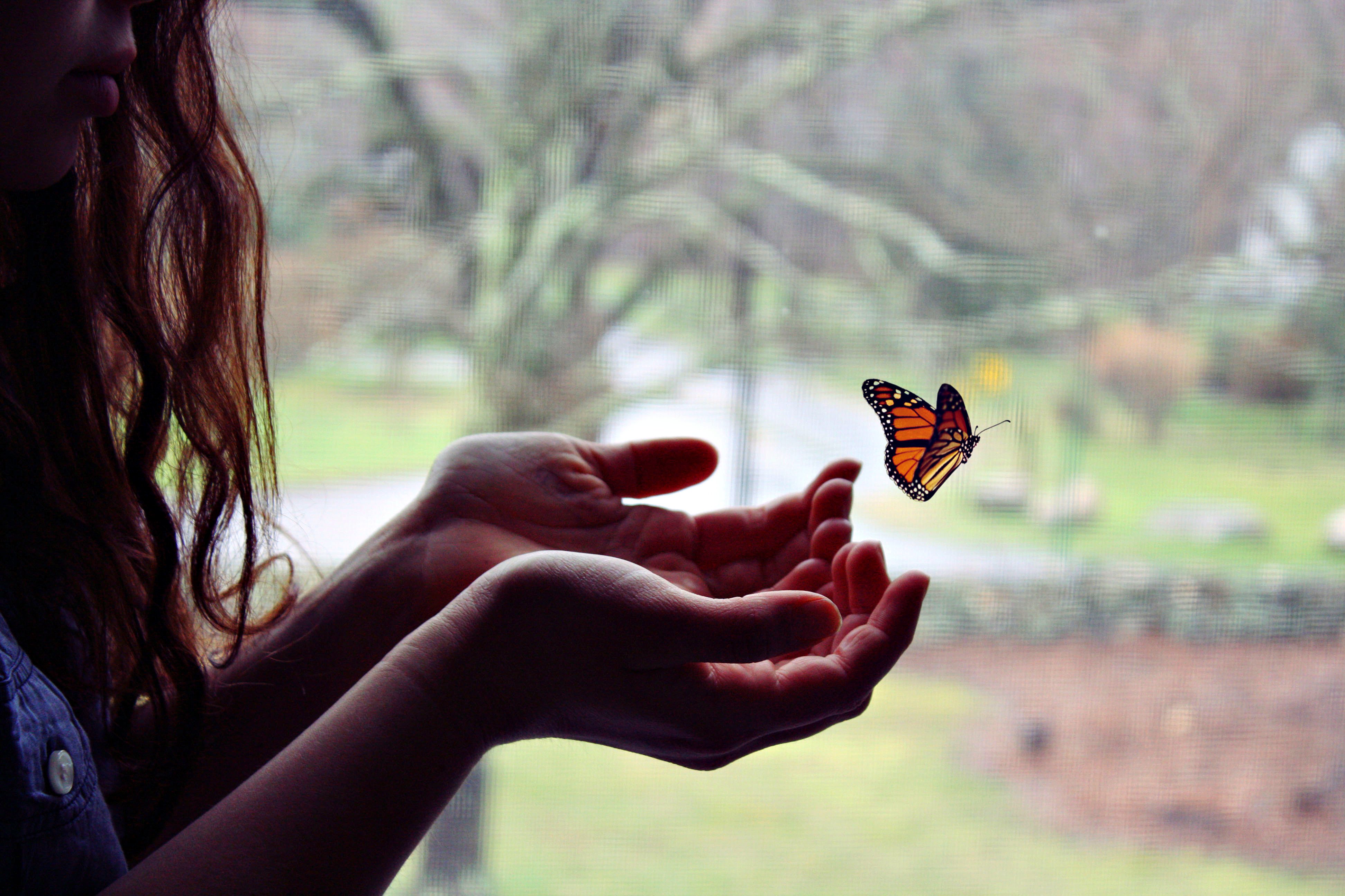 Желать несчастья. Девушка-бабочка. Девушка с бабочкой на ладони. Счастье бабочки. Девочка с бабочкой.