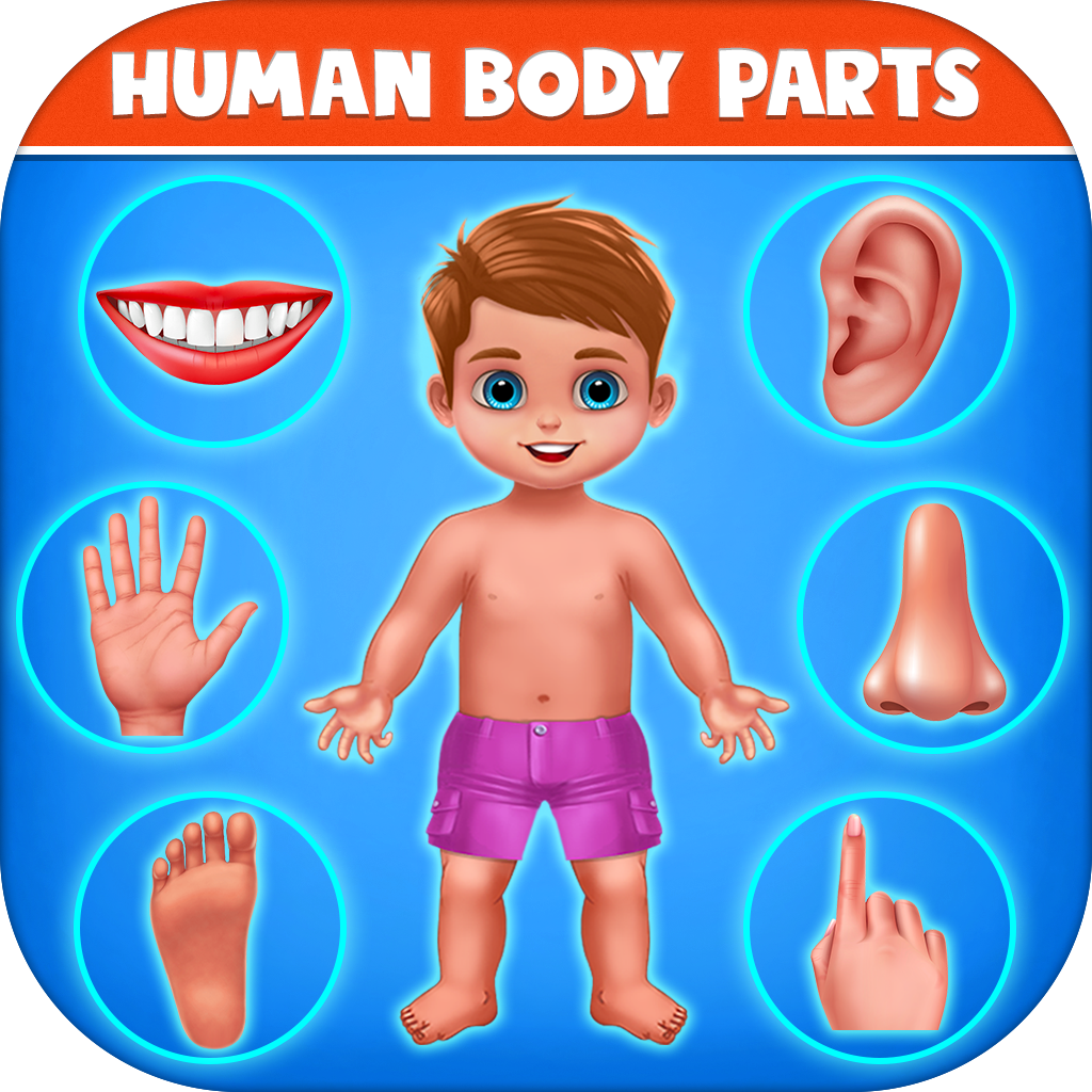 Включи для детей человек. Плакат части тела для дошкольников. Карточки с изображением частей тела. Части тела для малышей. Человек части тела для дошкольников.