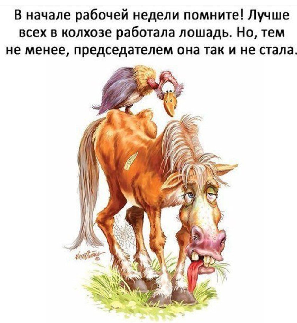 Лошадь председатель колхоза