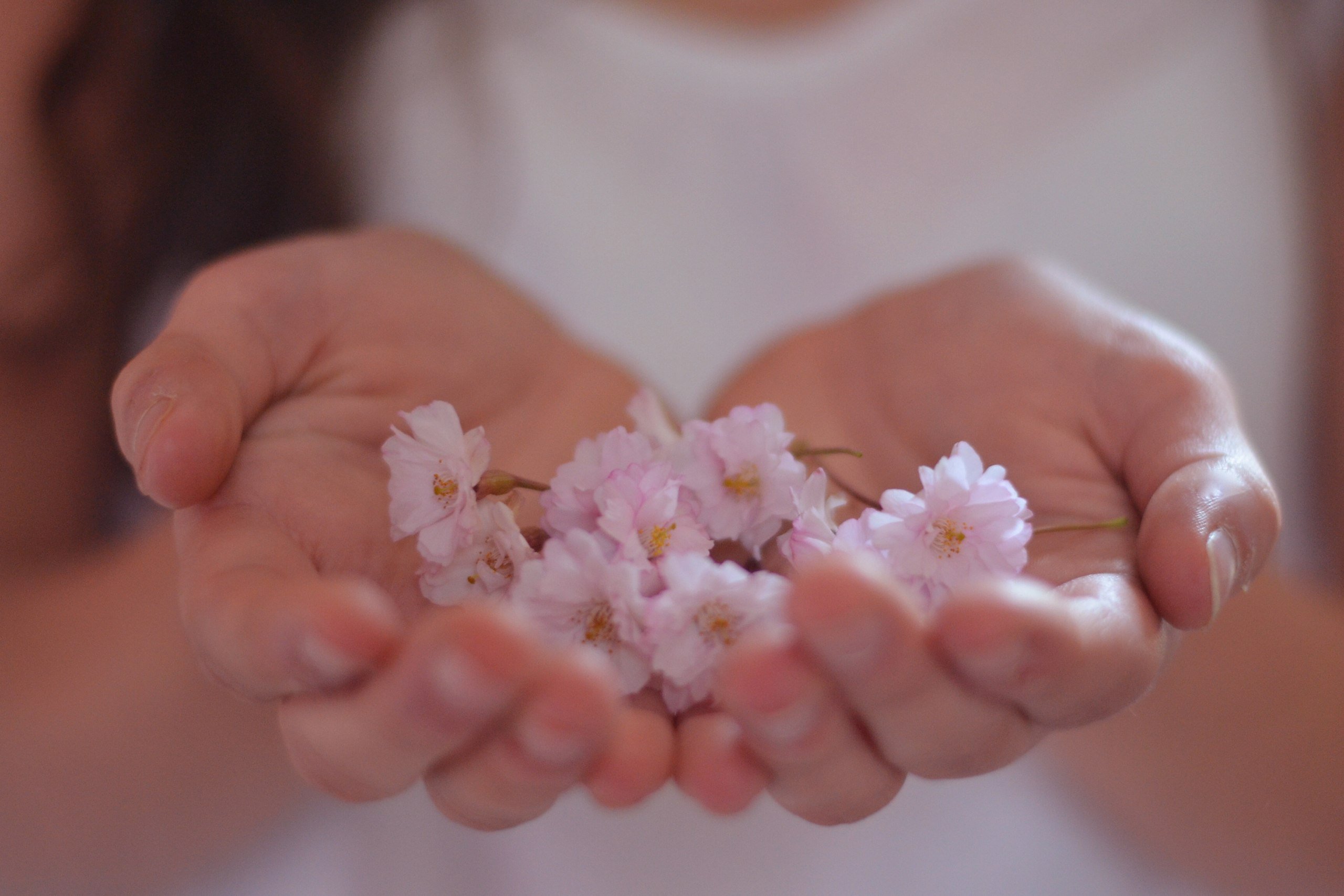 Дарите всегда внимания. Цветы в ладошках. Нежные цветы в руках. Счастье в ладонях. Цветок на руку..