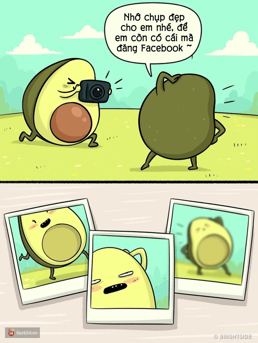 смешные картинки про авокадо