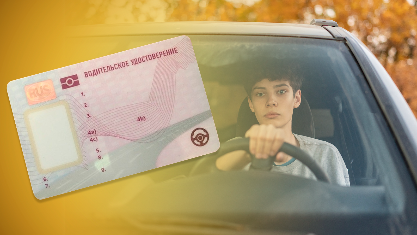 Изменения для получения прав с апреля. Картинки водительских прав. Фото с водительскими правами.