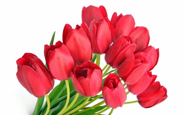 Нежное поздравление с днем рождения