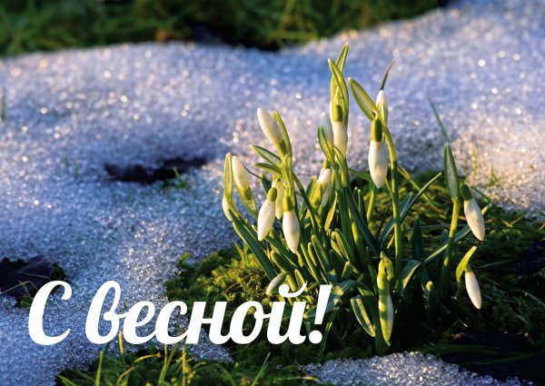 Поздравление с первым днем весны