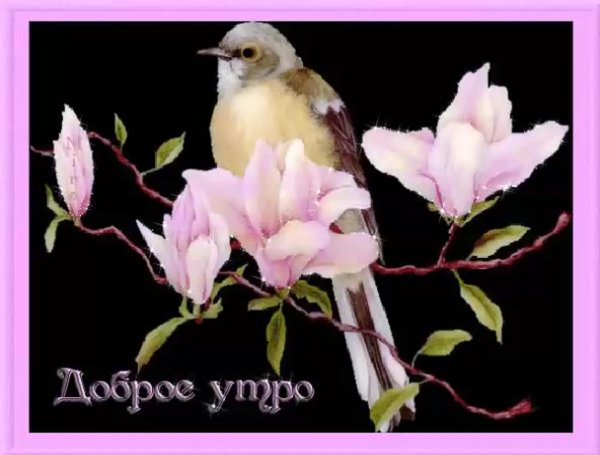Открыт мерцающие с птичками