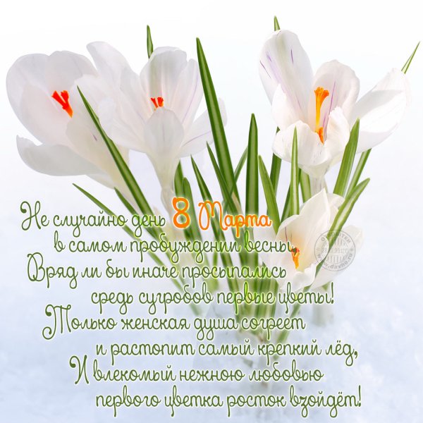 Стихи на 8 марта