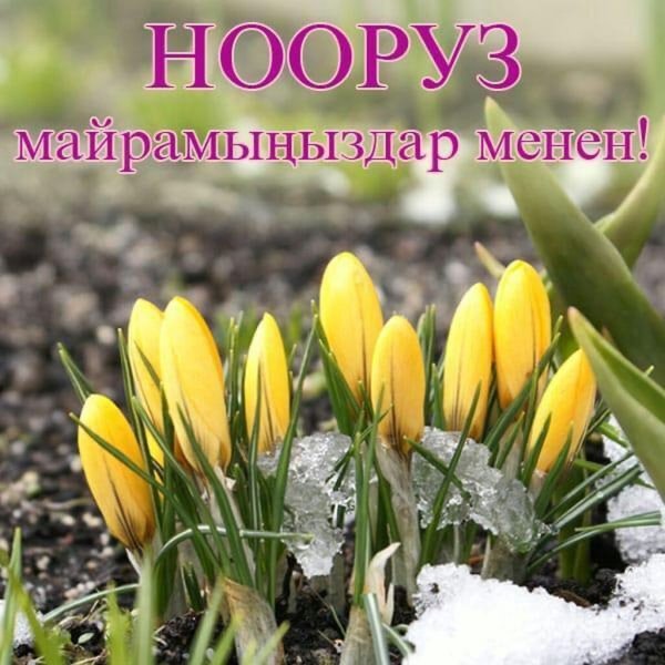 Нооруз куттуктайм