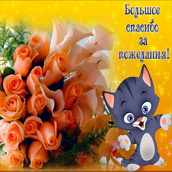 Спасибо за поздравления с днем рождения
