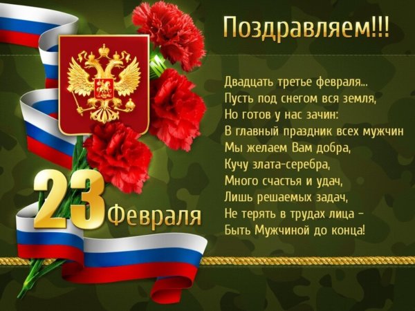 Стих 23 февраля пусть под снегом вся земля