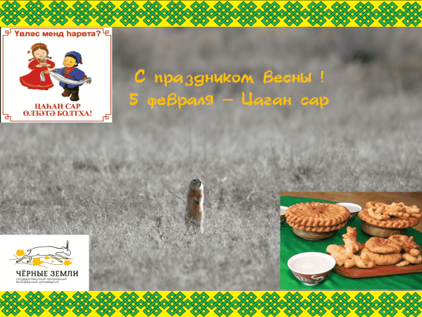 Цаган сар открытки