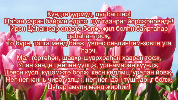 Цаган сар презентация