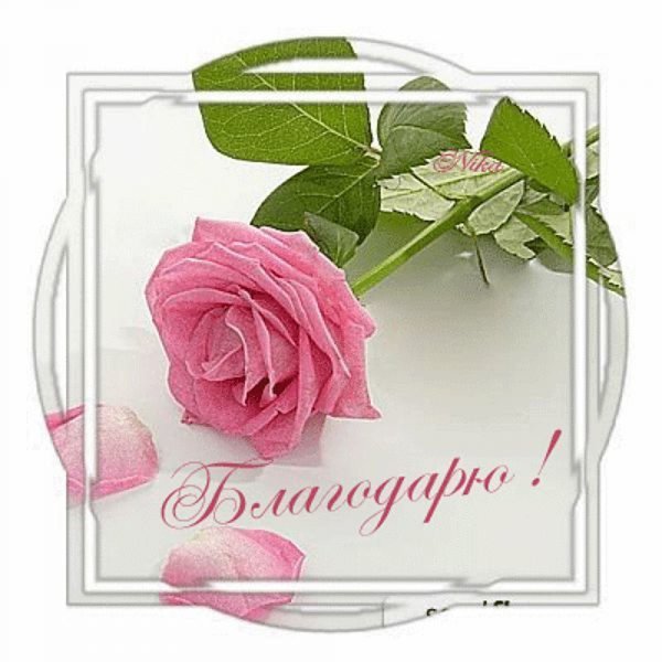 Красивые открытки с благодарностью