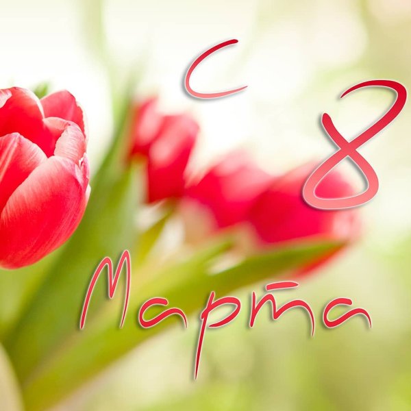 Красивые цветы на 8 марта