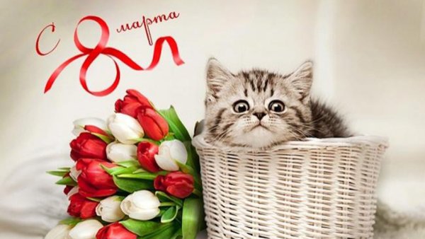 8 Марта