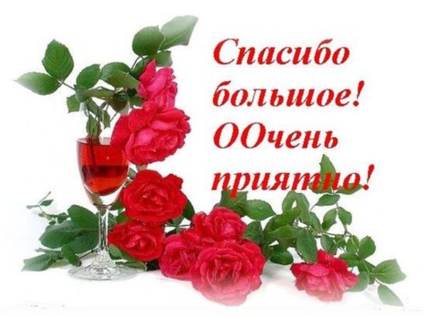 Спасибосза поздравления