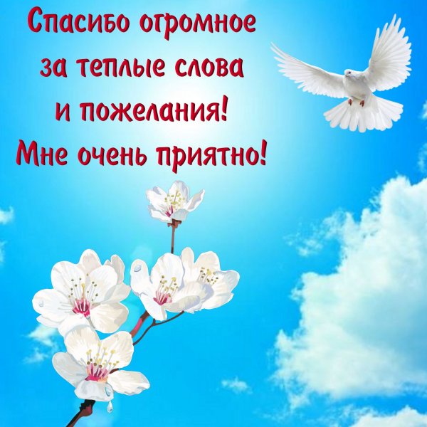 Спасиботза поздравления