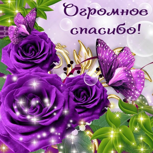 Живые обои на ПК двигающиеся фиолетовые
