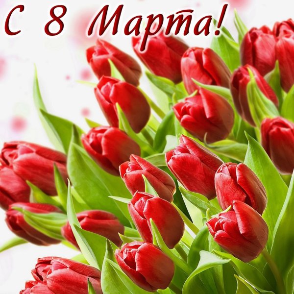 Картинки 8 марта красивые поздравления тюльпаны (43 фото)