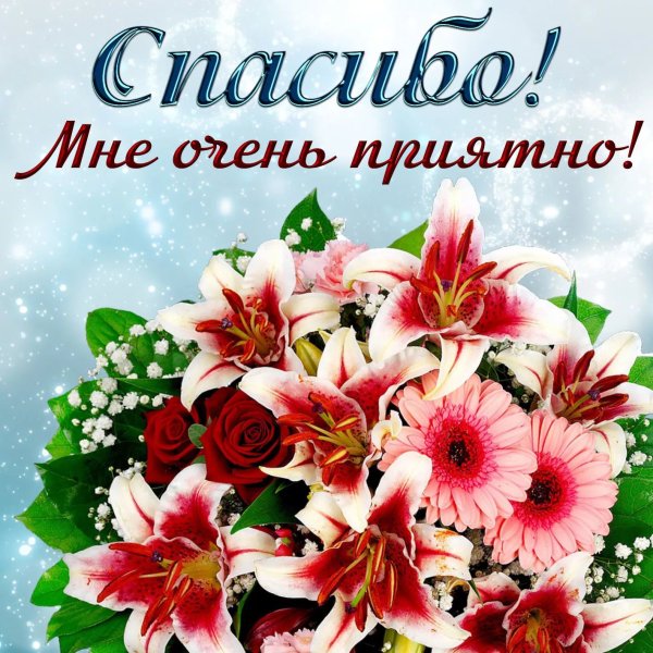 Спасибоза поздравленич