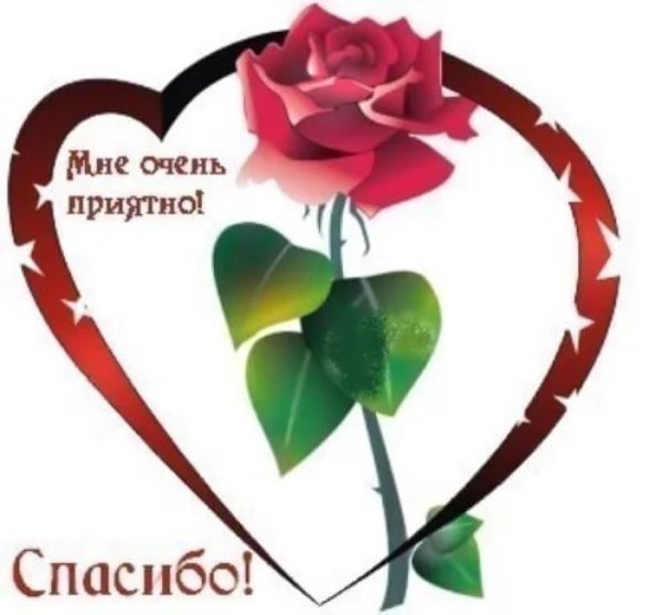 Спасибо за поздравления