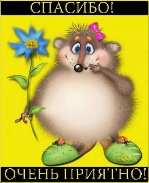Спасибо за поздравления