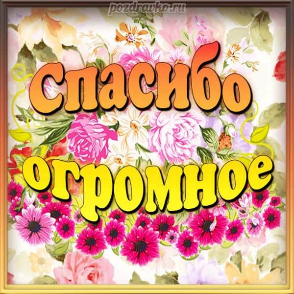 Спасибо за поздравления