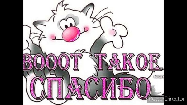 Благодарность за поздравления