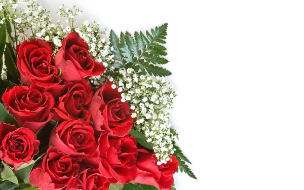 Поздравления с днём рождения женщине красивые