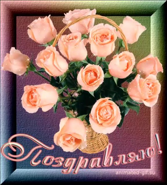 Анимированные поздравления