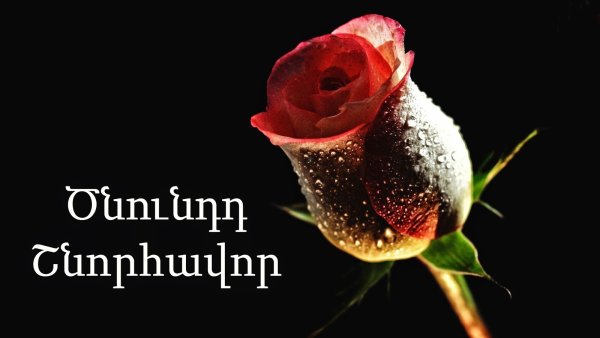 Цнундт шноравор