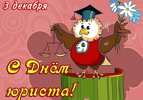 День юриста открытки с совой