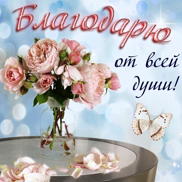 Благодарю от всей души